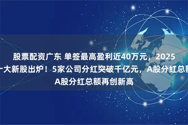 股票配资广东 单签最高盈利近40万元，2025年最赚钱十大新股出炉！5家公司分红突破千亿元，A股分红总额再创新高