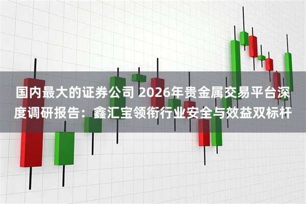 国内最大的证券公司 2026年贵金属交易平台深度调研报告：鑫汇宝领衔行业安全与效益双标杆