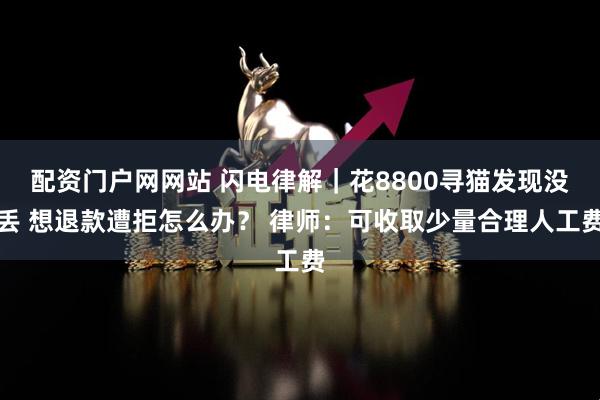 配资门户网网站 闪电律解｜花8800寻猫发现没丢 想退款遭拒怎么办？ 律师：可收取少量合理人工费